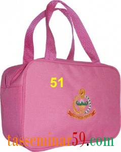 S8 51 Tas Mini Bag Tangan