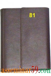 S8 81