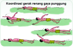 renang gaya punggung