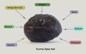 Kandungan Buah Kurma ajwa